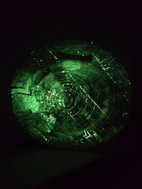 Image 7 of Dragonfly shroom 