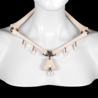 Image 1 of "Mara" Fawn Bone Necklace and Leash
