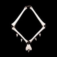 Image 4 of "Mara" Fawn Bone Necklace and Leash