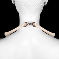 Image 3 of "Mara" Fawn Bone Necklace and Leash