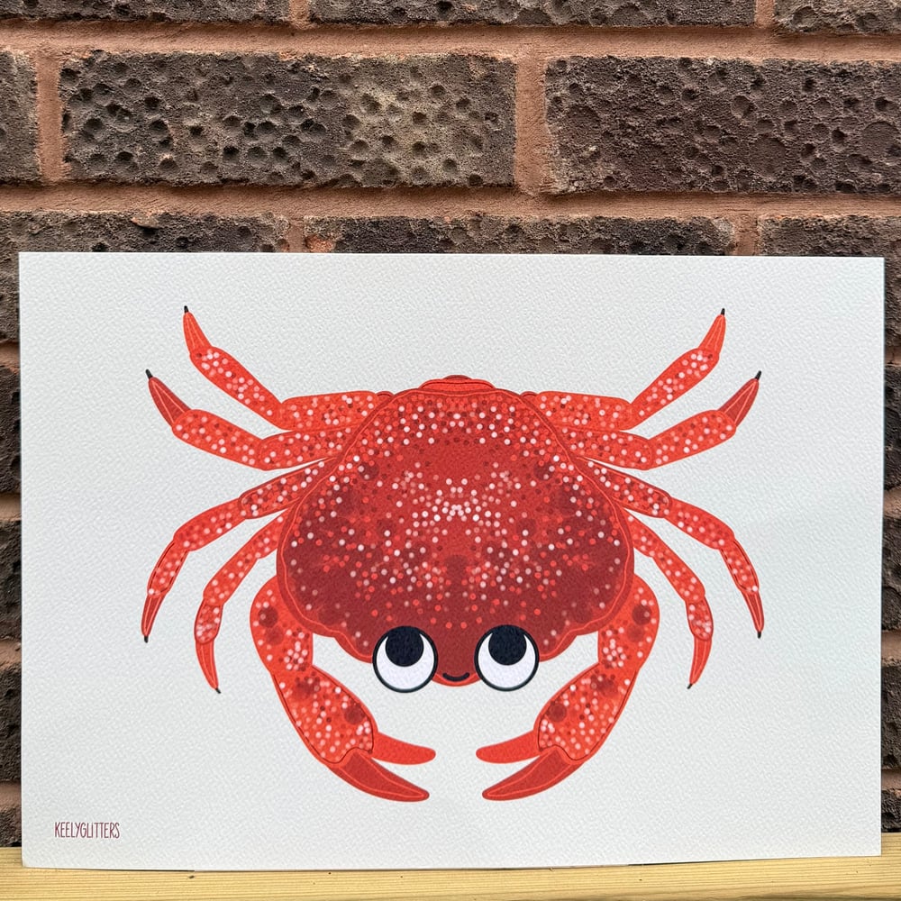 Sea Critter Prints by Keely Glitters
