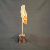 Image 9 of Demi nautile sur socle en bois d'ébène et laiton - Curiosités