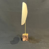 Image 8 of Demi nautile sur socle en bois d'ébène et laiton - Curiosités