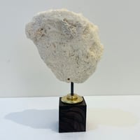 Image 4 of Ancien gros corail blanc naturel vague sur socle en bois d'ébène style fin XIXe