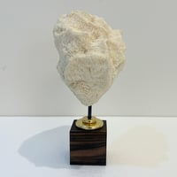 Image 6 of Ancien gros corail blanc naturel vague sur socle en bois d'ébène style fin XIXe