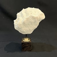 Image 2 of Ancien gros corail blanc naturel vague sur socle en bois d'ébène style fin XIXe