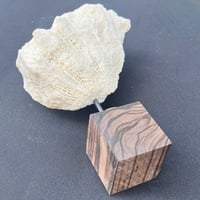 Image 8 of Ancien gros corail blanc naturel vague sur socle en bois d'ébène style fin XIXe