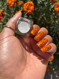 Image 13 of Pumpkin Guts