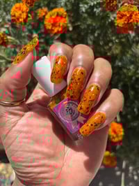 Image 14 of Pumpkin Guts