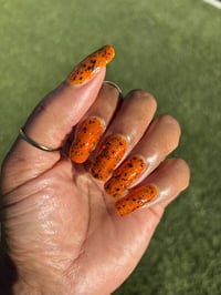 Image 15 of Pumpkin Guts