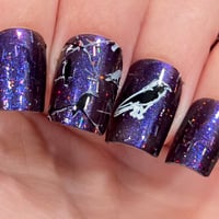 Image 10 of Raven's Vail 