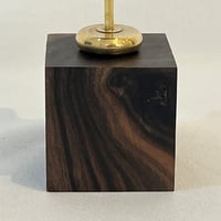 Image 5 of Ancien coquillage conque Strombus Latus sur socle en bois d'ébène
