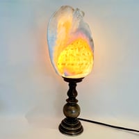 Image 1 of Grande Lampe veilleuse coquillage Conque sur socle en bronze - Pièce unique