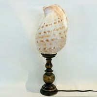Image 5 of Grande Lampe veilleuse coquillage Conque sur socle en bronze - Pièce unique