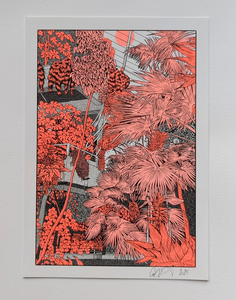 Image of Barbican Conservatory Palms