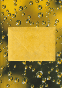Image 1 of GOLD ❉ postcard set