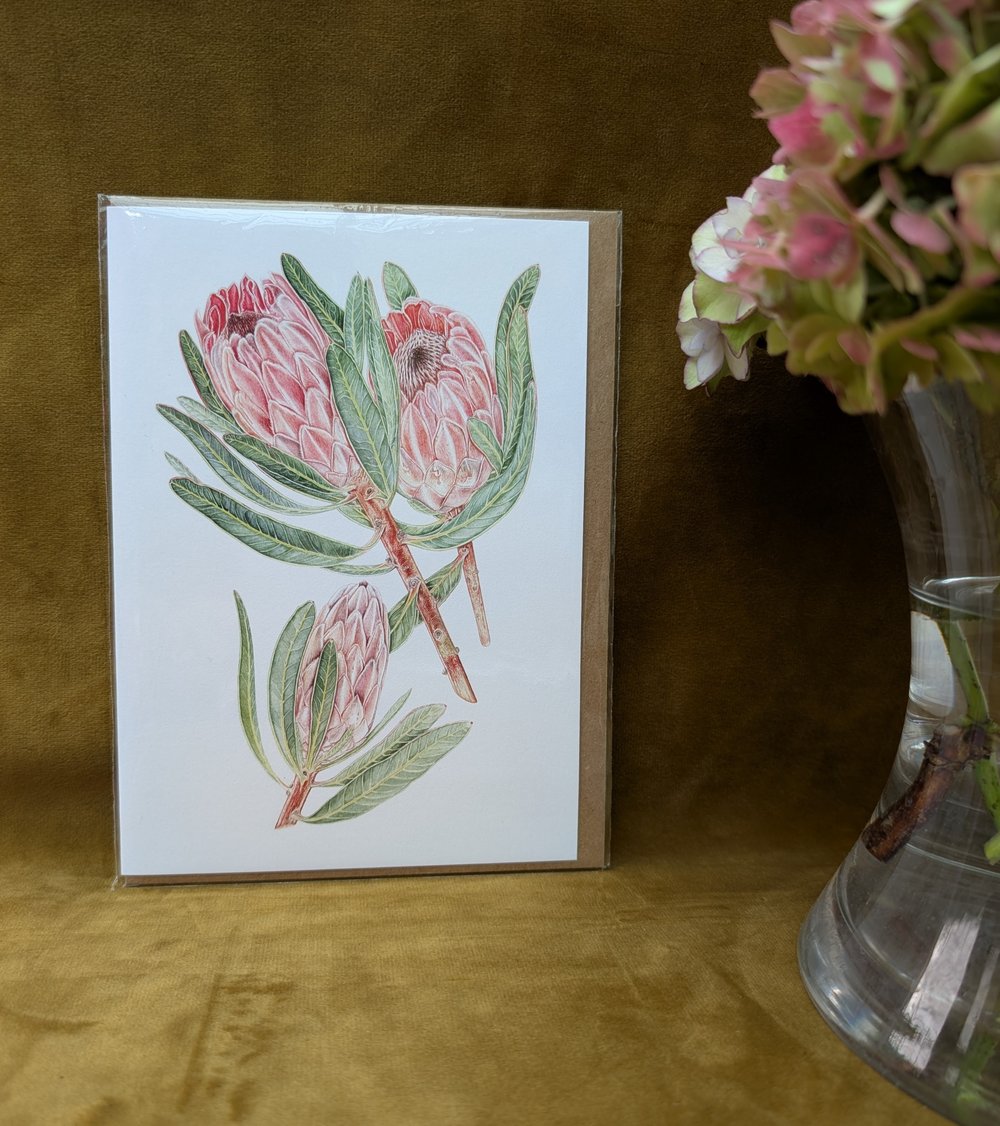 Image of Protea and Passion Flower Cards