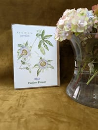 Image 2 of New Cards! Protea and Passion Flower