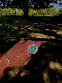 Image 1 of Variscite Ring in Sterling Silver 