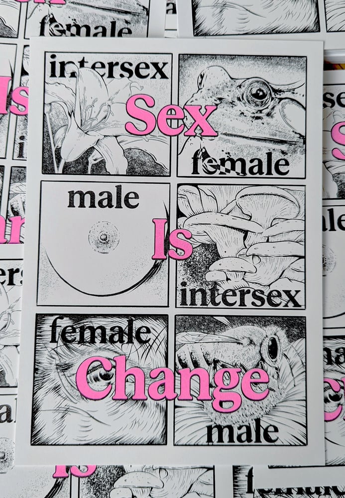 Image of Feminisms