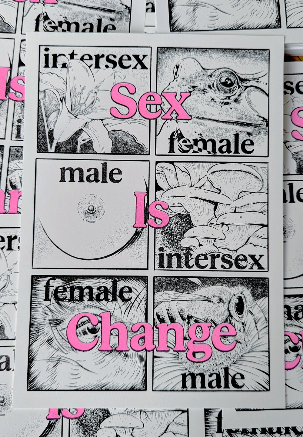 Image of Feminisms