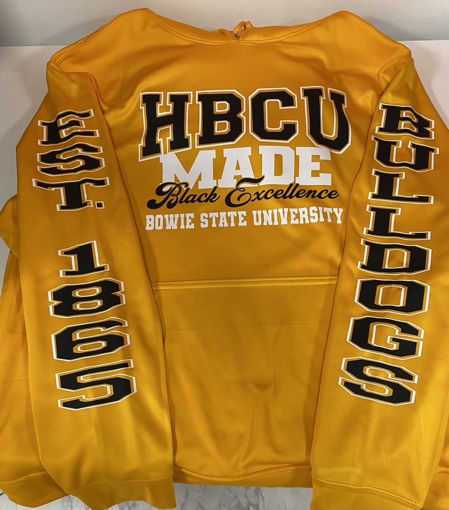 Image of HBCU Black Excellence Hoodie  
