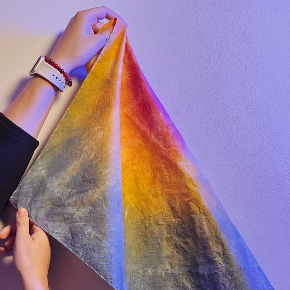 Image of Bingy Rainbow