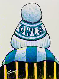‘OWLS’