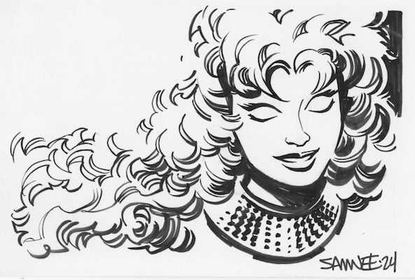 Image of Starfire Doodle 2