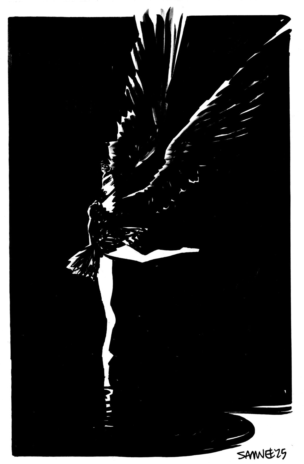 Image of Black Swan Large Doodle