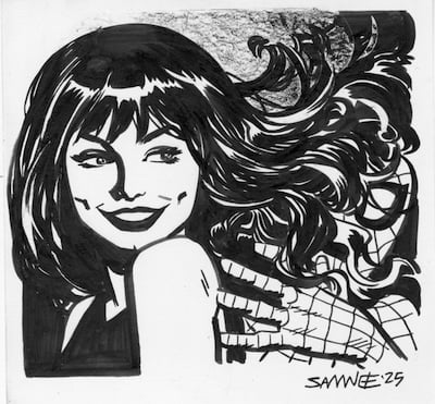 Image of Mary Jane and Spider-Man Large Doodle