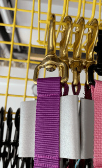 Image 1 of Gay Leashes for Bi-Curious Dogs - shimmer eye-shadow popsicle