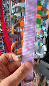 Image 1 of Gay Leashes for Bi-Curious Dogs - Lavender Brownstone at Hallowe'en