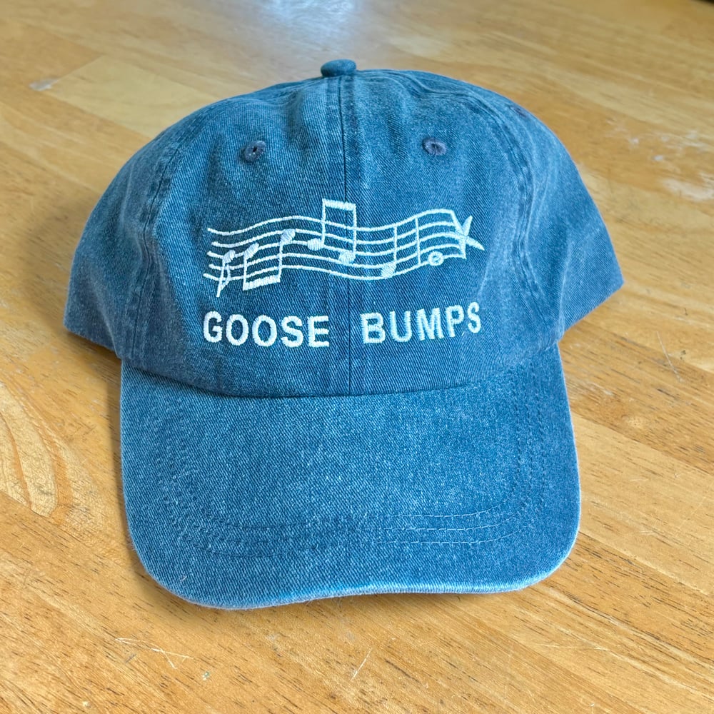 Image of Goose Bumps Hat