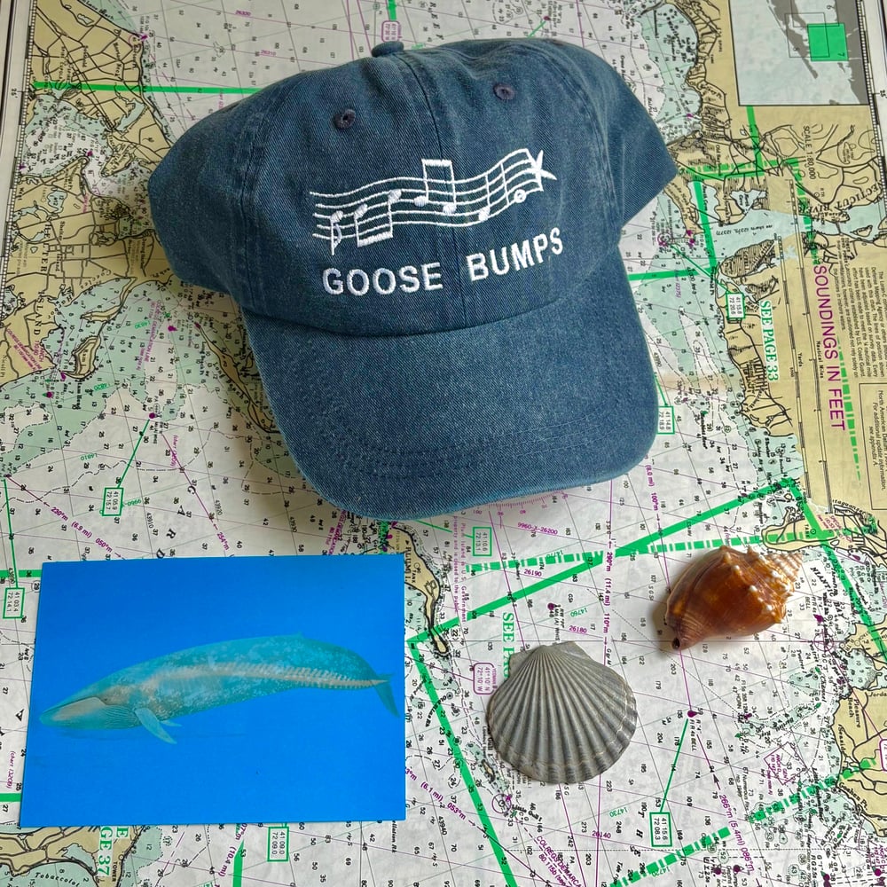 Image of Goose Bumps Hat