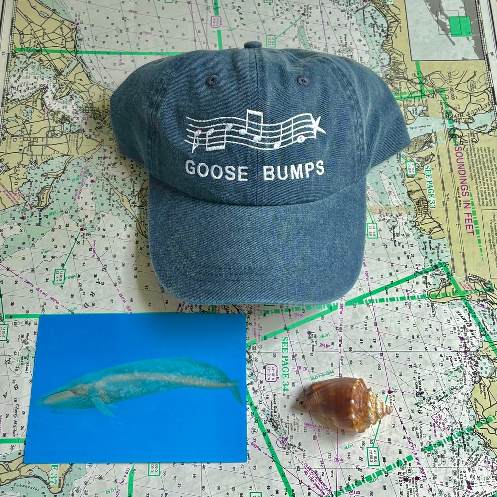 Image of Goose Bumps Hat