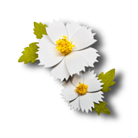Image 1 of Cosmo Flower Die-Cut 1101