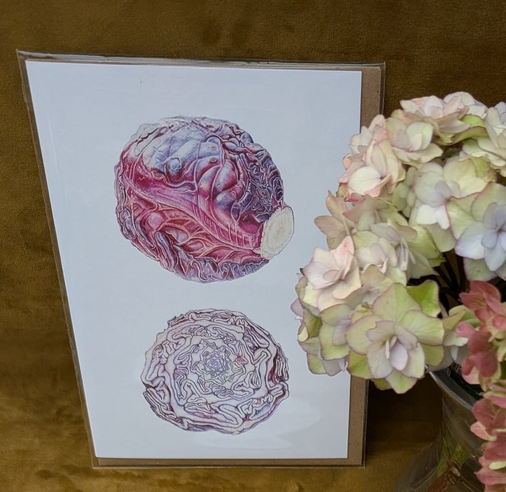 Image of Red Cabbage Card