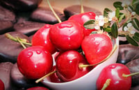 Montmorency Cherry White Balsamic Vinegar