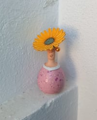 Image 4 of Pasmadinho 17 Sunflower