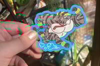 ZEBRA TIME