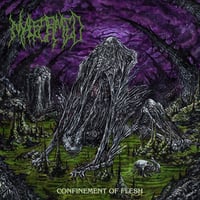 Image 6 of MALFORMED - "Confinement of Flesh" 12" Vinyl LP