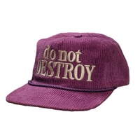 Image 1 of Do Not Destroy