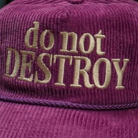 Image 2 of Do Not Destroy