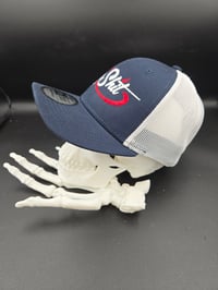 Image 3 of DIP SHIT EMBROIDERED HAT - SYNDER BRAND