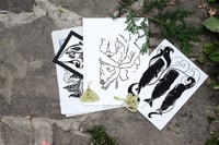 Image 2 of Mystery Misprints