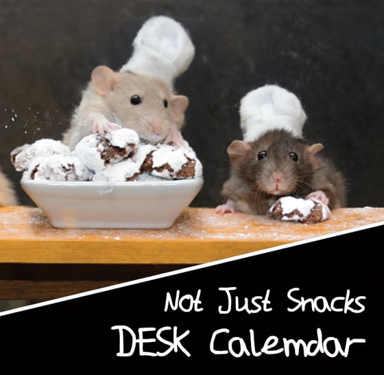 Image of 2026 - Not Just Snacks - Desk Calemdar 