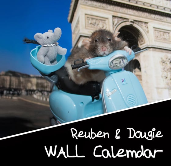 Image of 2026 Rueben & Dougie's Paris Adbenture Wall Calemdar 