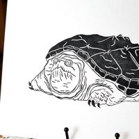 Image 2 of Snapping Turtle Linocut Print