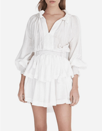 Image 1 of AJE Aegina Dress. Silk Cotton Mini, Long Sleeve Embroidered Tassel. Size 8